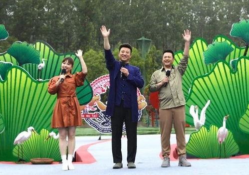 洪雅碧桂园爆料视频最新,揭秘项目背后的真相与争议