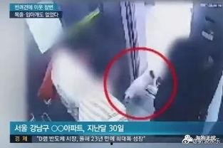 马闹鸡邻居爆料视频大全,揭秘邻里生活百态