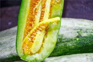 网红丁大筱吃瓜总结,揭秘网红圈幕后故事