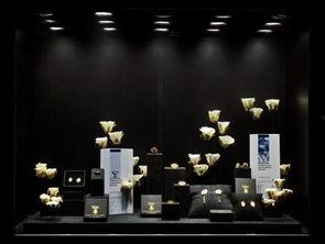 上海世博会大明星,闪耀全球的璀璨星光