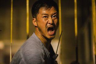 电影明星吴京收入,票房硬汉，年收入突破亿元