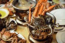 生吃免费观看免费,畅享美食盛宴