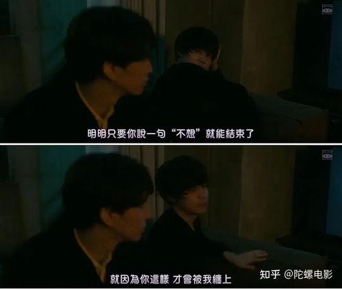 日本电影不纯之爱