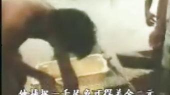 亚马逊食人族1免费观看,免费观看带你走进原始惊悚之旅