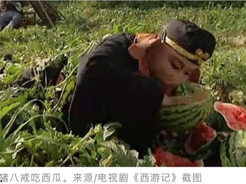 娱乐吃瓜西游记,娱乐吃瓜背后的奇幻之旅